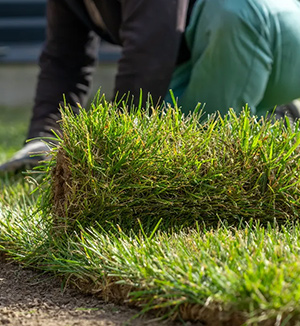 Mantenimiento de Jardines