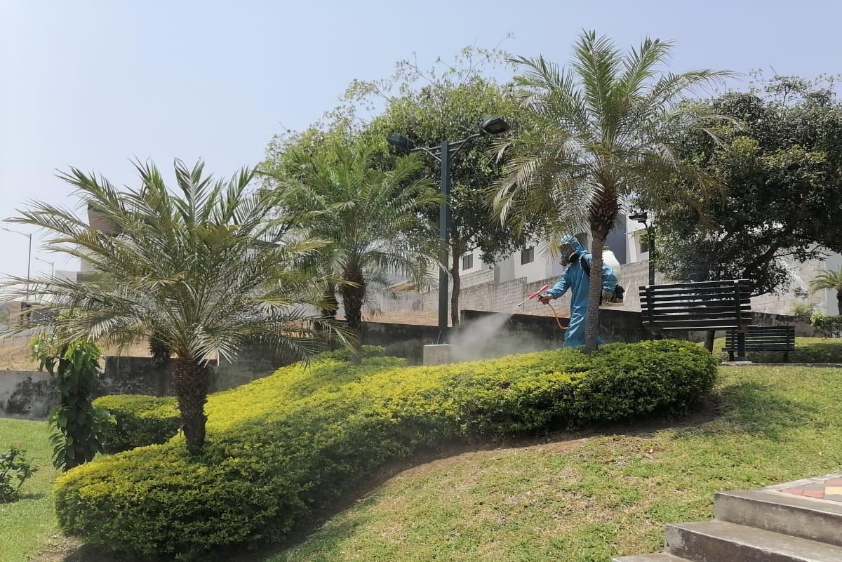 Servicio de mantenimiento de jardines