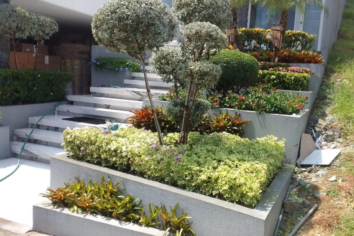 Diseño de jardines exteriores para Casas
