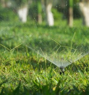 Mantenimiento de Jardines