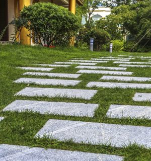 Servicio de mantenimiento de jardines